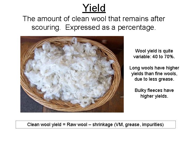 Yield The amount of clean wool that remains after scouring. Expressed as a percentage.