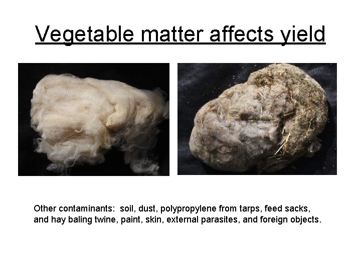 Vegetable matter affects yield Other contaminants: soil, dust, polypropylene from tarps, feed sacks, and