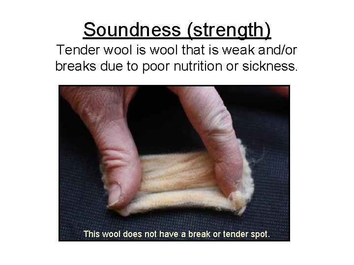 Soundness (strength) Tender wool is wool that is weak and/or breaks due to poor