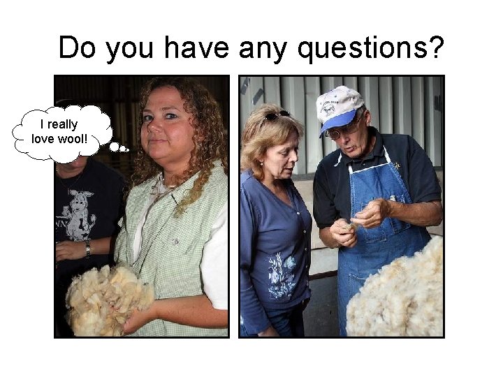 Do you have any questions? I really love wool! 