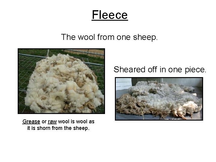 Fleece The wool from one sheep. Sheared off in one piece. Grease or raw