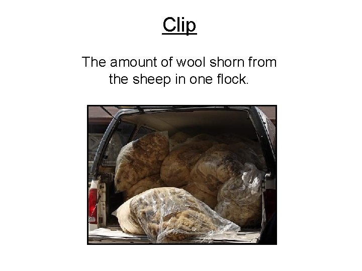 Clip The amount of wool shorn from the sheep in one flock. 