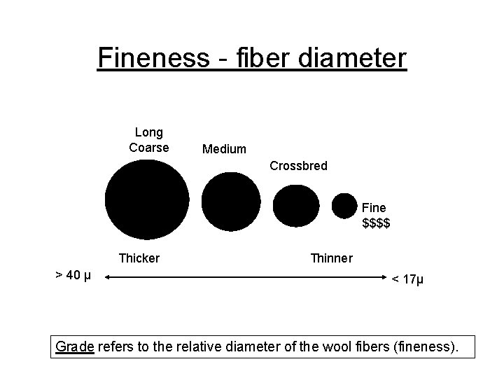 Fineness - fiber diameter Long Coarse Medium Crossbred Fine $$$$ Thicker > 40 µ