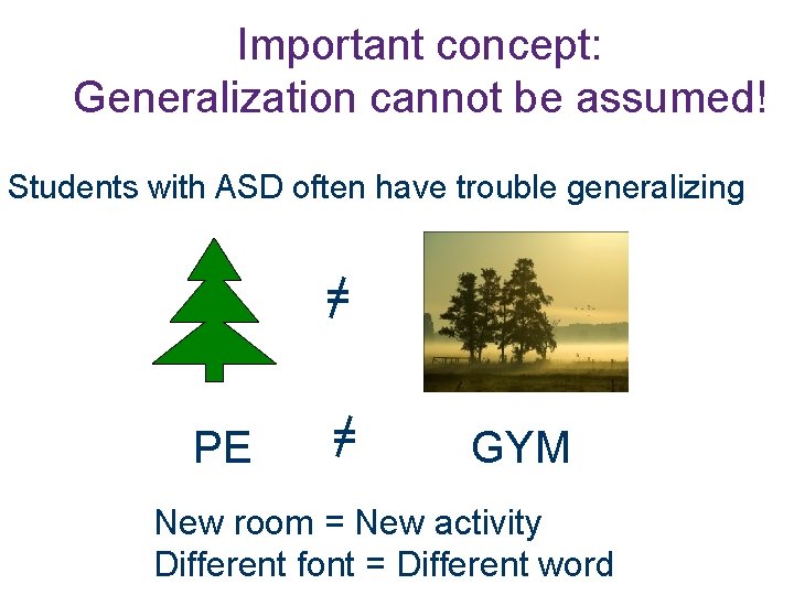 Important concept: Generalization cannot be assumed! Students with ASD often have trouble generalizing =