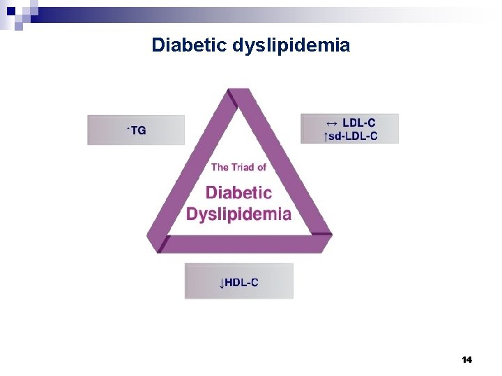 Diabetic dyslipidemia 14 