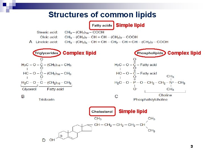 Structures of common lipids Simple lipid Complex lipid Simple lipid 3 