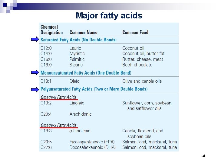 Major fatty acids 4 