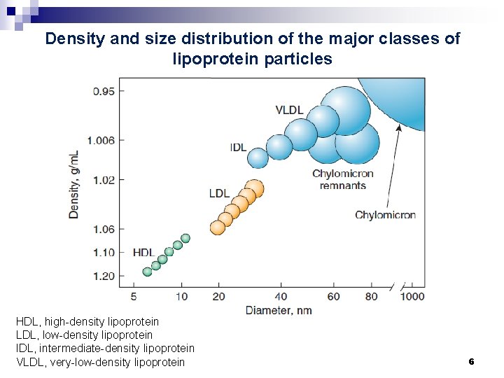 Density and size distribution of the major classes of lipoprotein particles HDL, high-density lipoprotein