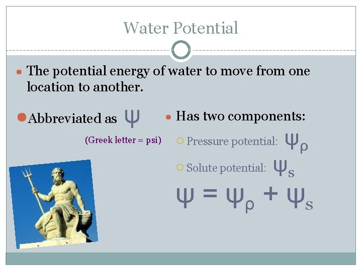 Water Potential ● The potential energy of water to move from one location to