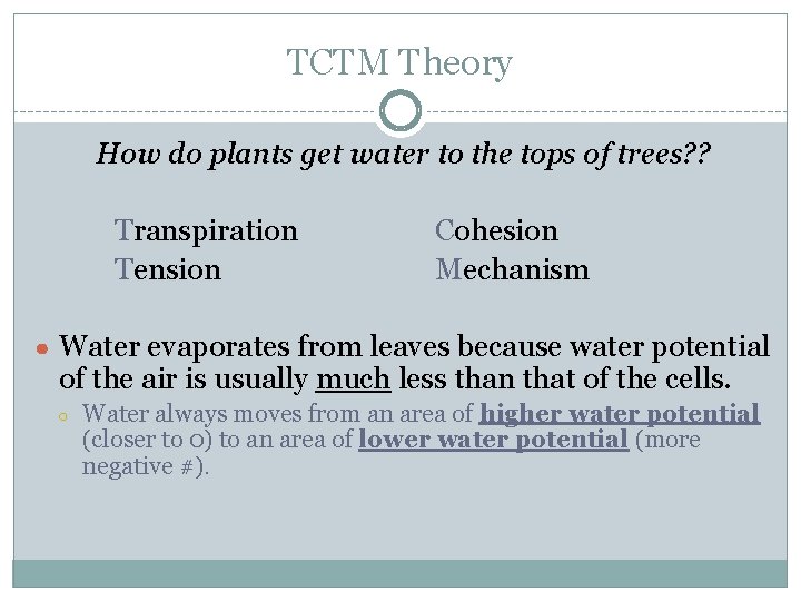 TCTM Theory How do plants get water to the tops of trees? ? Transpiration