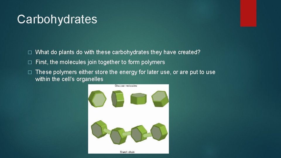 Carbohydrates � What do plants do with these carbohydrates they have created? � First,