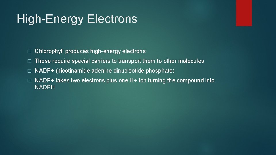High-Energy Electrons � Chlorophyll produces high-energy electrons � These require special carriers to transport