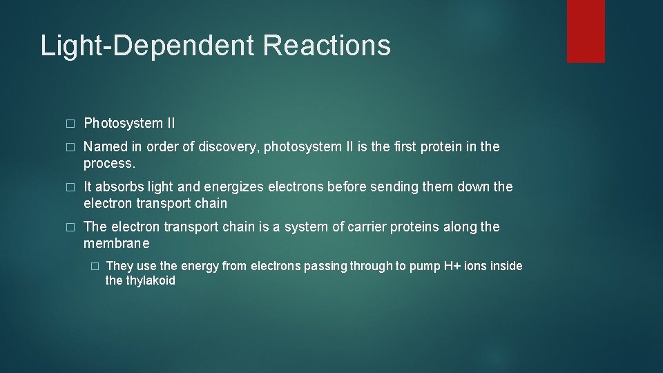 Light-Dependent Reactions � Photosystem II � Named in order of discovery, photosystem II is