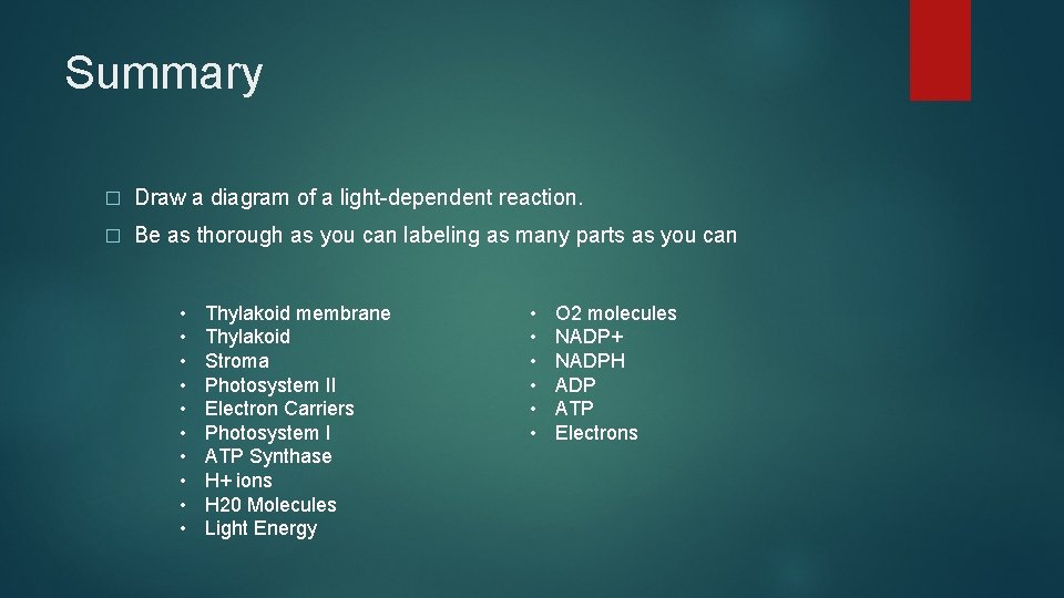 Summary � Draw a diagram of a light-dependent reaction. � Be as thorough as
