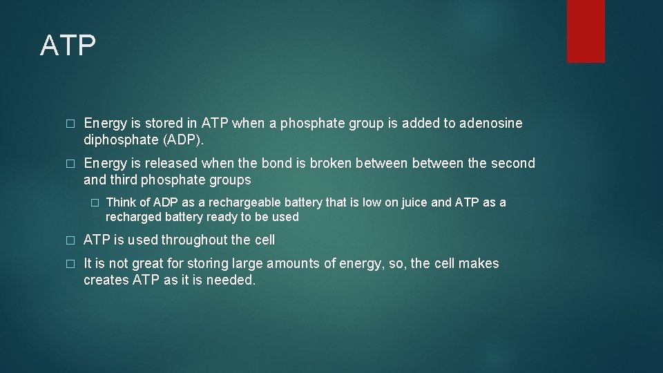 ATP � Energy is stored in ATP when a phosphate group is added to