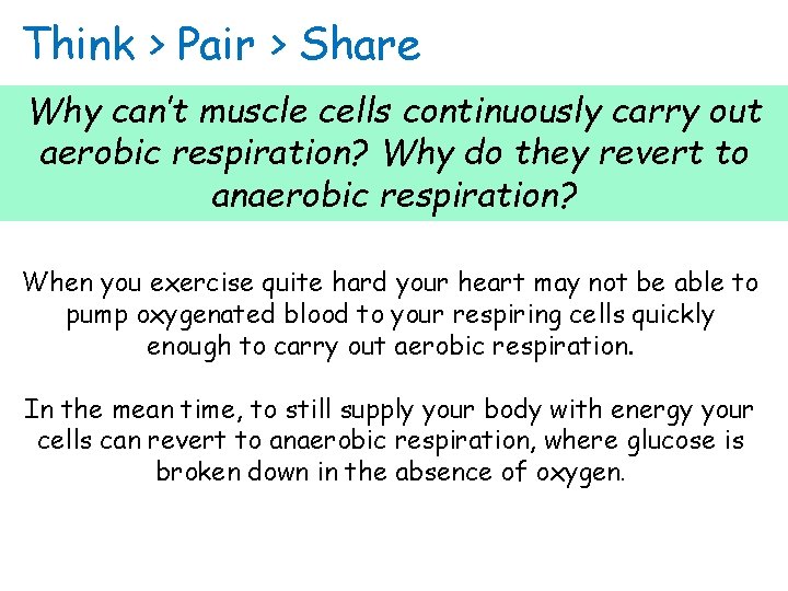 Think > Pair > Share Why can’t muscle cells continuously carry out aerobic respiration?