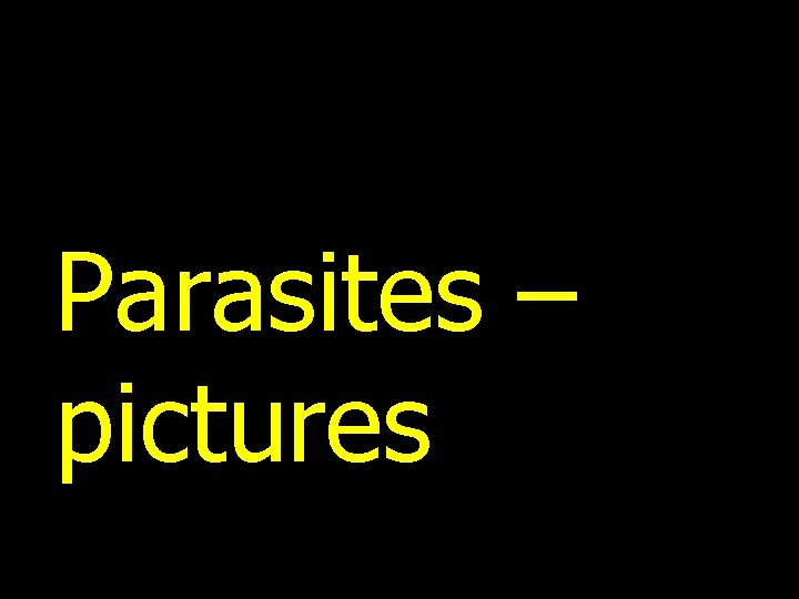 Parasites – pictures 