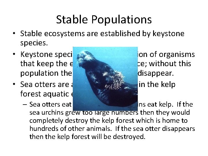 Stable Populations • Stable ecosystems are established by keystone species. • Keystone species are