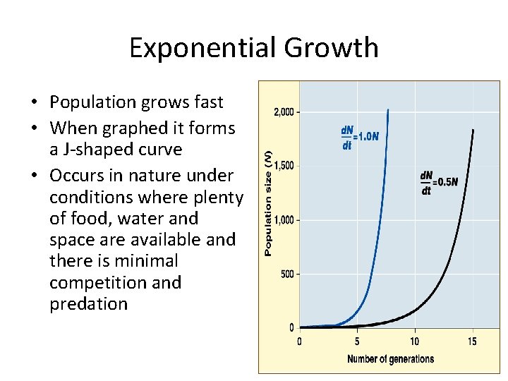Exponential Growth • Population grows fast • When graphed it forms a J-shaped curve
