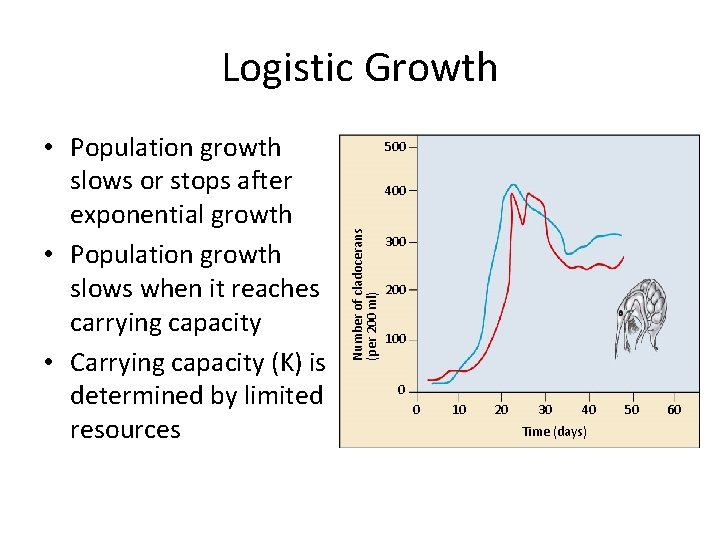 Logistic Growth 500 400 Number of cladocerans (per 200 ml) • Population growth slows