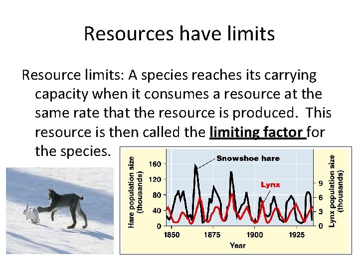 Resources have limits Resource limits: A species reaches its carrying capacity when it consumes