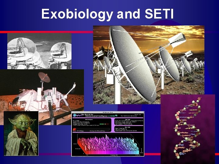Exobiology and SETI 