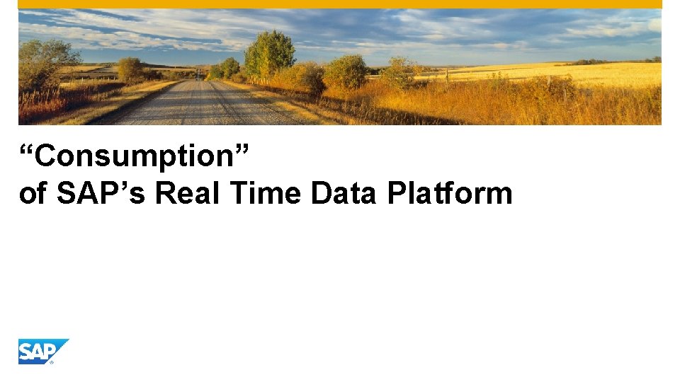 “Consumption” of SAP’s Real Time Data Platform 
