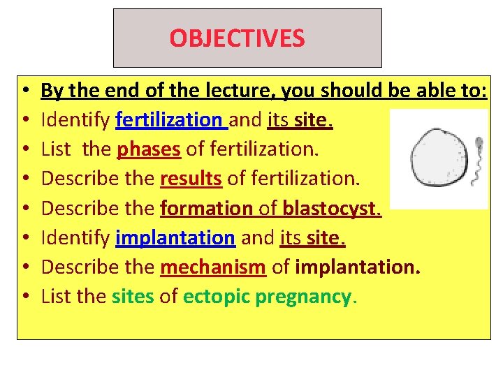 OBJECTIVES • • By the end of the lecture, you should be able to: