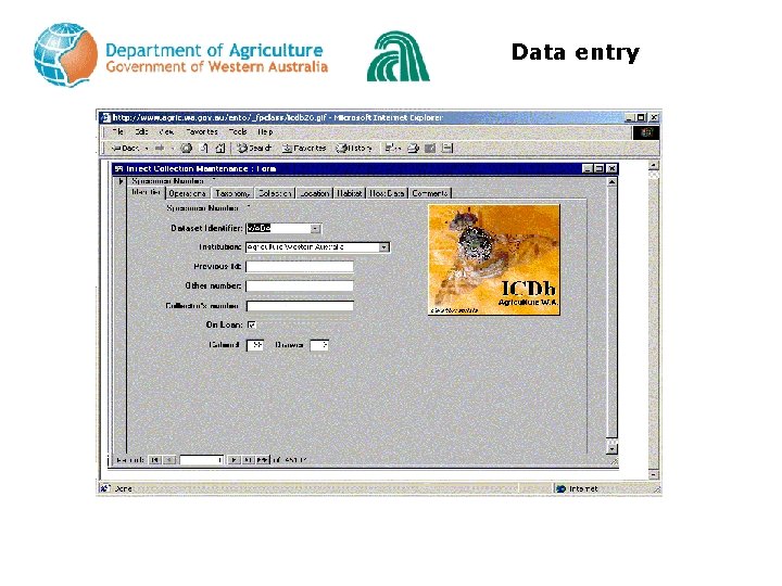 Data entry 