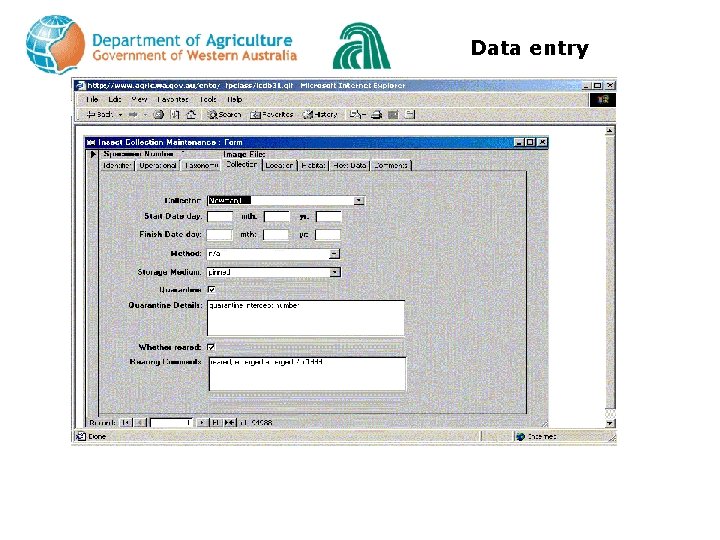 Data entry 