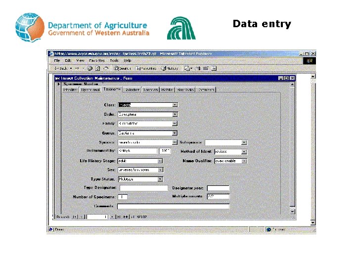 Data entry 