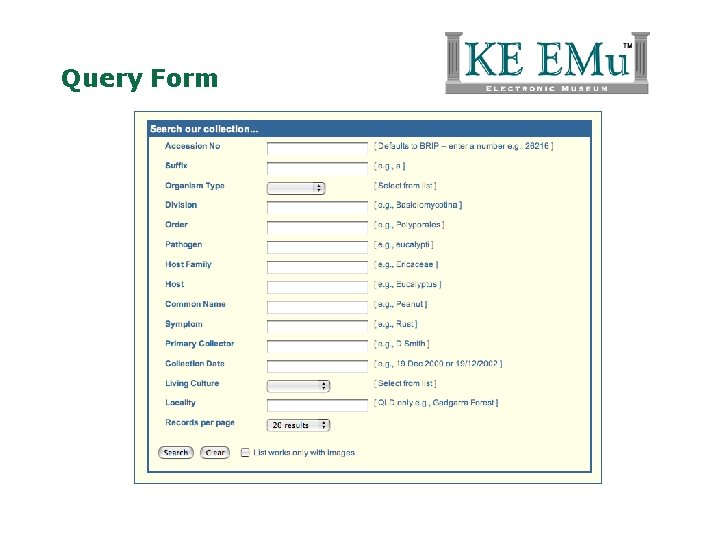 Query Form 