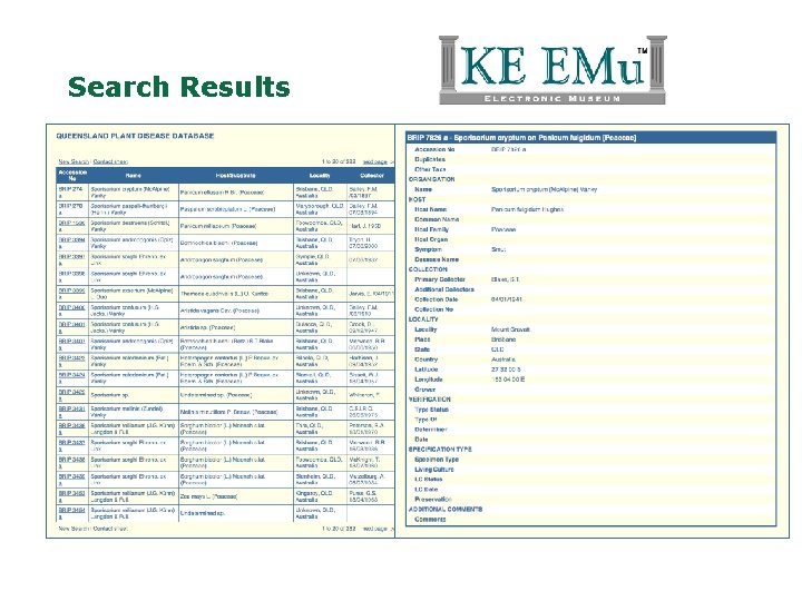 Search Results 