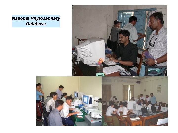 National Phytosanitary Database 