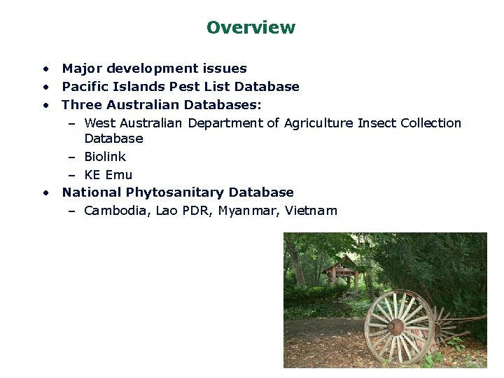 Overview • Major development issues • Pacific Islands Pest List Database • Three Australian