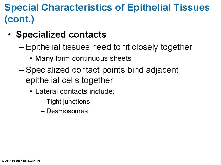 Special Characteristics of Epithelial Tissues (cont. ) • Specialized contacts – Epithelial tissues need