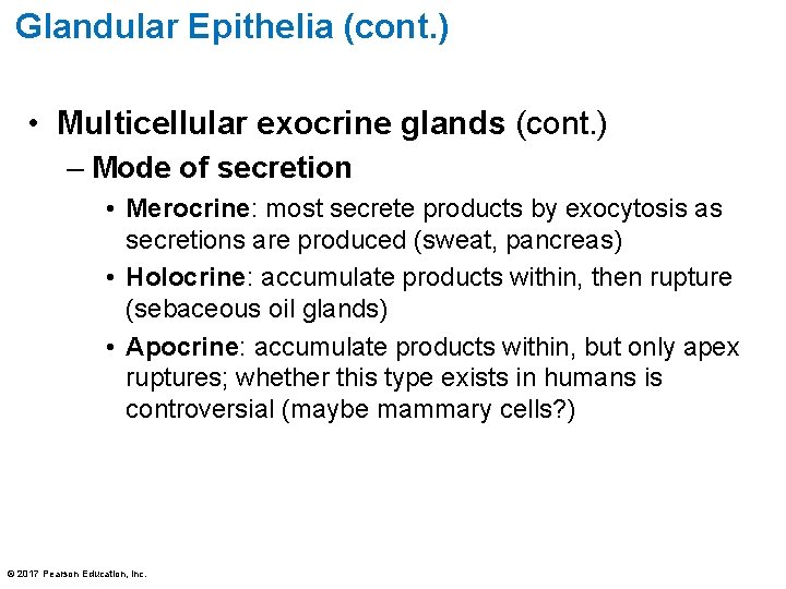 Glandular Epithelia (cont. ) • Multicellular exocrine glands (cont. ) – Mode of secretion