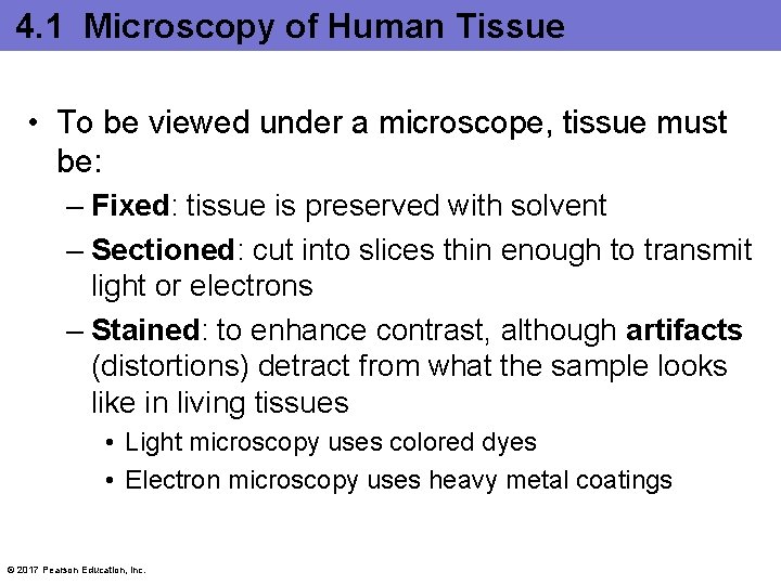 4. 1 Microscopy of Human Tissue • To be viewed under a microscope, tissue
