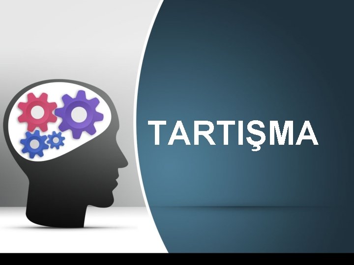 TARTIŞMA 