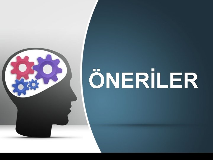 ÖNERİLER 