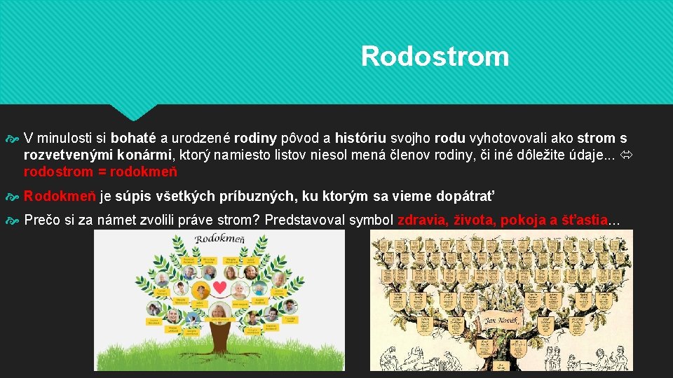 Rodostrom V minulosti si bohaté a urodzené rodiny pôvod a históriu svojho rodu vyhotovovali