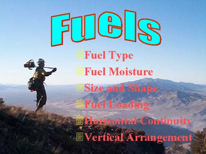 3 Fuel Type 3 Fuel Moisture 3 Size and Shape 3 Fuel Loading 3