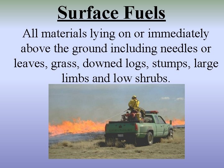 Surface Fuels All materials lying on or immediately above the ground including needles or