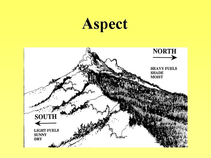 Aspect 