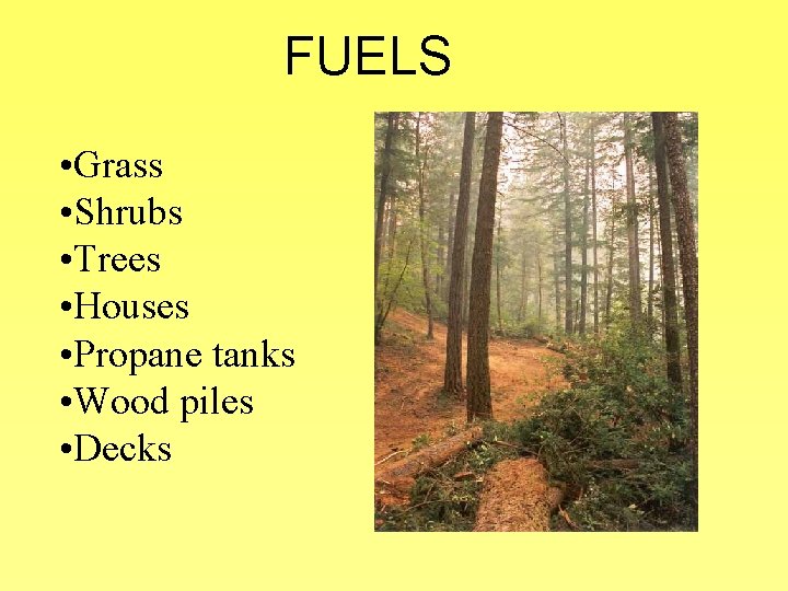 FUELS • Grass • Shrubs • Trees • Houses • Propane tanks • Wood