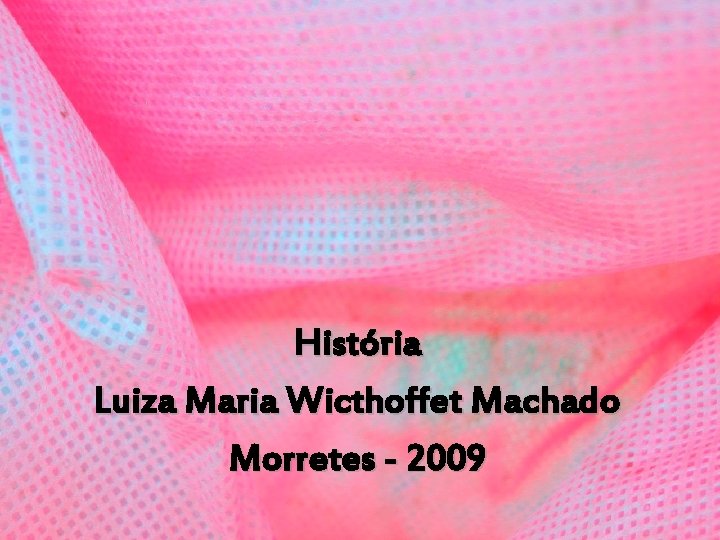 História Luiza Maria Wicthoffet Machado Morretes - 2009 