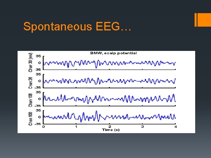 Spontaneous EEG… 