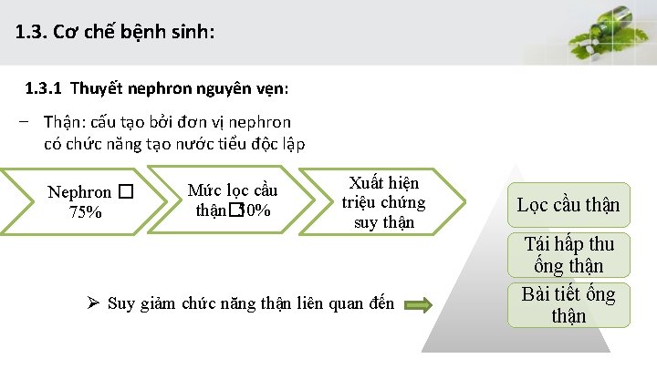 1. 3. Cơ chế bệnh sinh: 1. 3. 1 Thuyết nephron nguyên vẹn: −