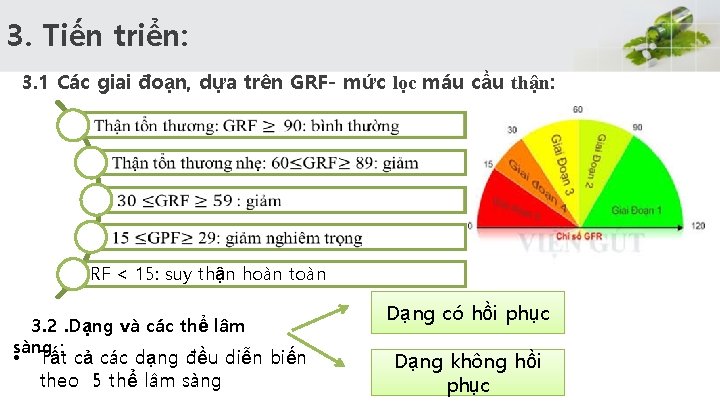 3. Tiến triển: 3. 1 Các giai đoạn, dựa trên GRF- mức lọc máu