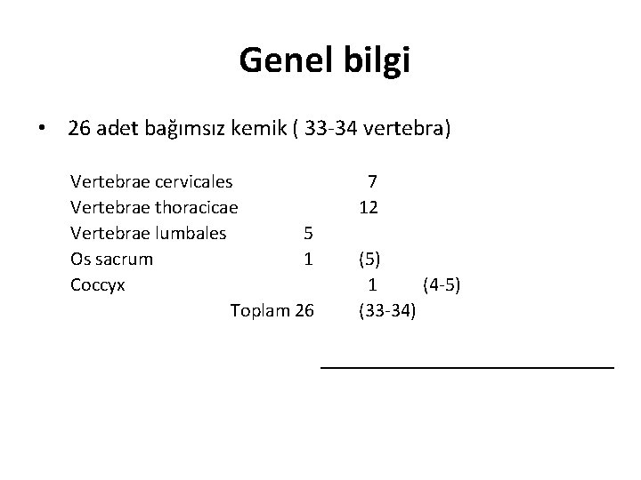 Genel bilgi • 26 adet bağımsız kemik ( 33 -34 vertebra) Vertebrae cervicales Vertebrae